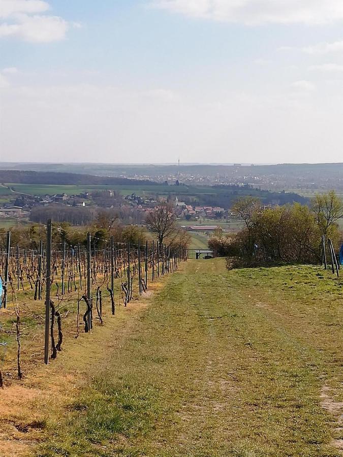Ferienwohnung Moritzwiese Naumburg  Exteriör bild